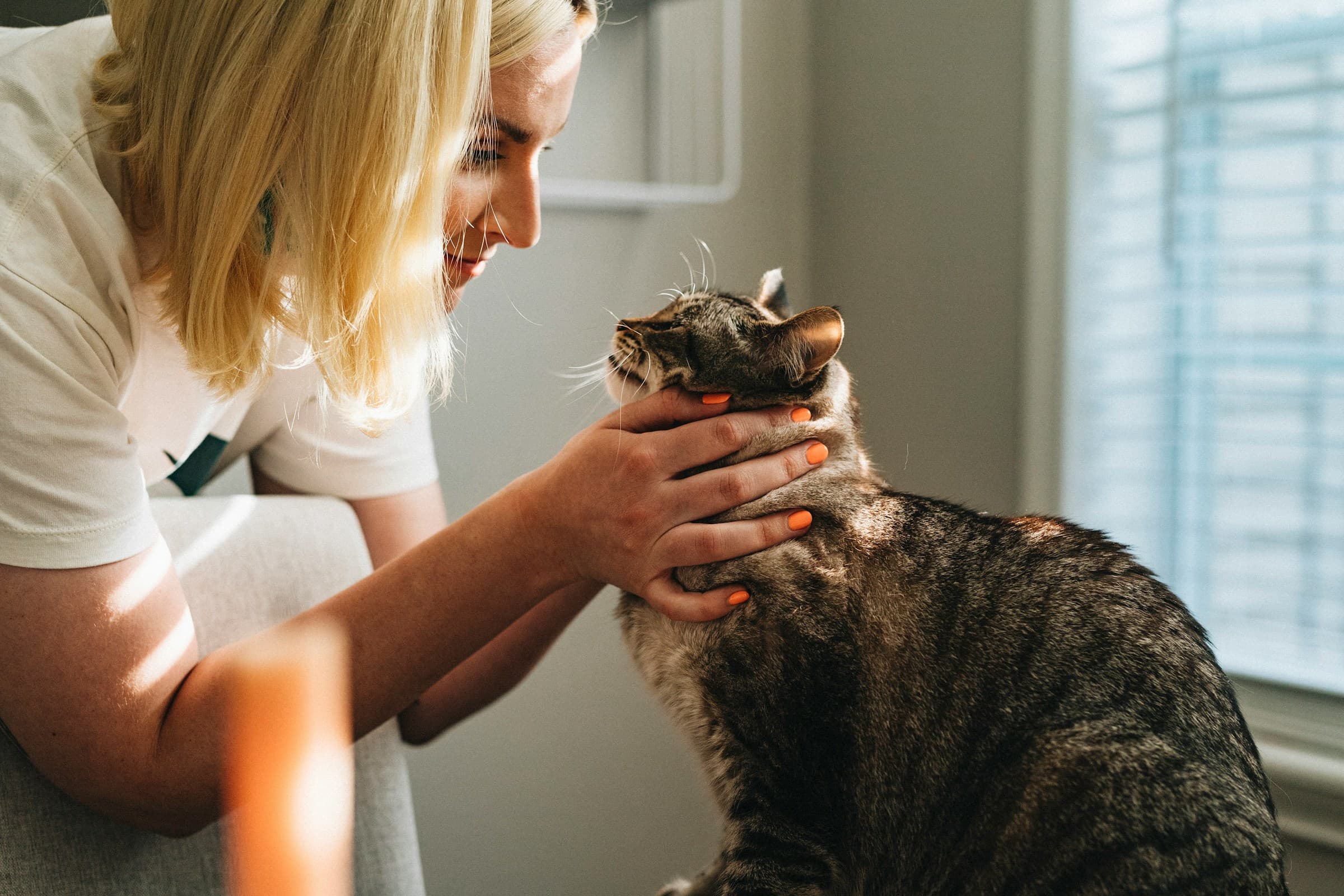 A vet sharing a warm moment with a cat at an independent UK veterinary practice